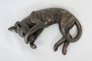Dog Curled