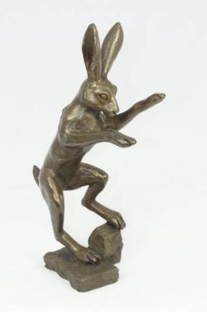 Hare Playing