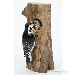 Woodpecker and Chick
