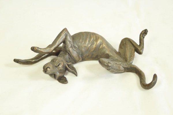 Dog rolling on his Back (stretching)