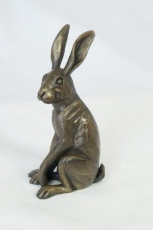 Hare sitting up