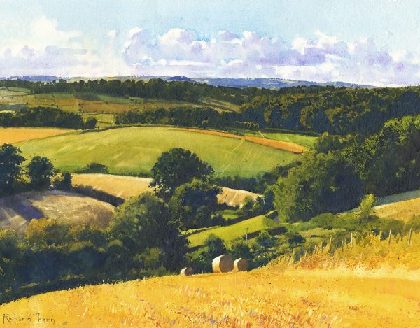 Arcadian Fields