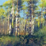 The Pine Cathedral