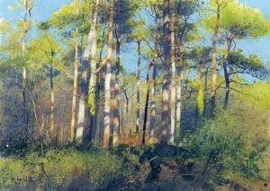 The Pine Cathedral