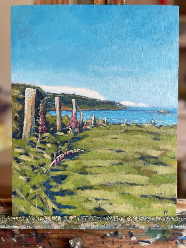 Foxgloves by the Sea (Little Dartmouth)