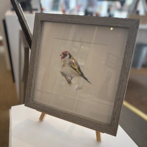 Gold Finch
