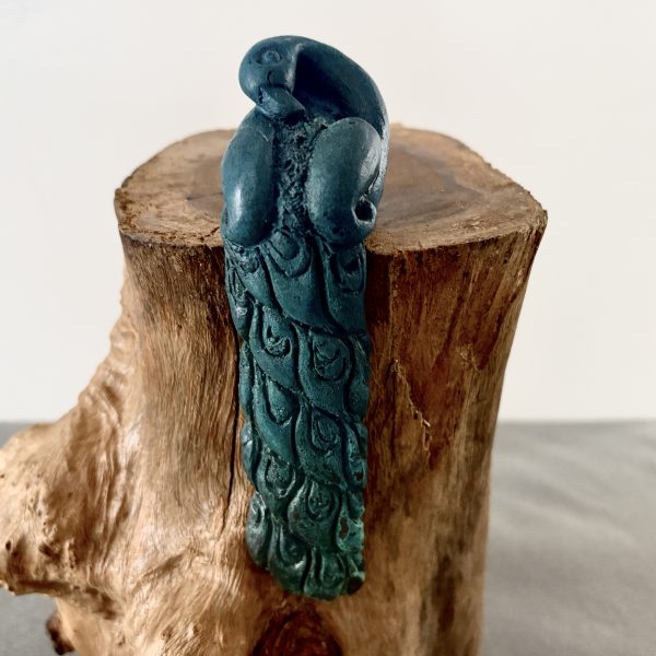 Little peacock
