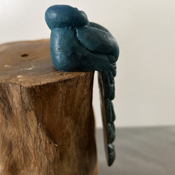 Little peacock