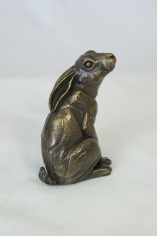 Hare sat