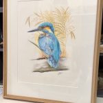 Kingfisher in the reeds