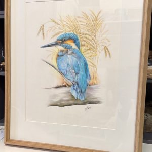 Kingfisher in the reeds