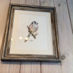 Long tailed tit