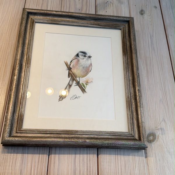 Long tailed tit