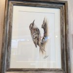 Tree creeper